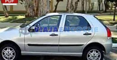 fiat palio 2010 foto