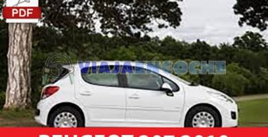 peugeot 207 2010 foto