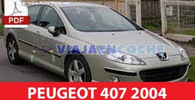 peugeot 407 2004 foto